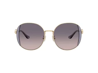 Coach Cad73 Sonnenbrille HC 7176B 900536