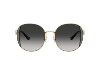 Coach Cad73 Sonnenbrille HC 7176B 90053C