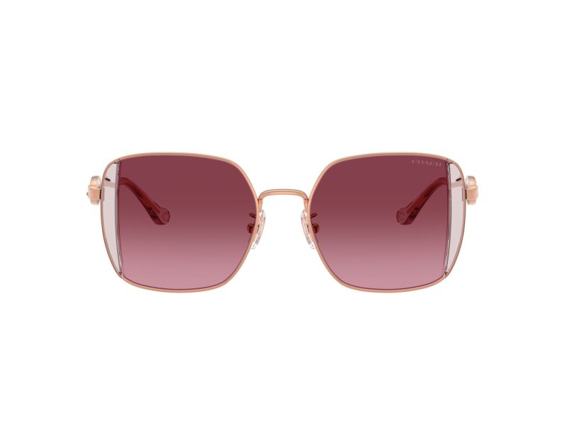 Coach Cad72 Sonnenbrille HC 7177B 93318H