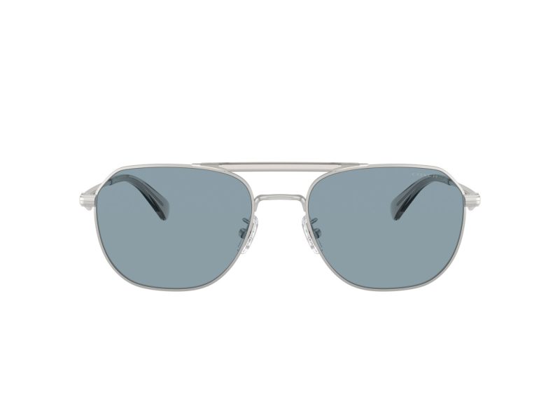 Coach Cae80 Sonnenbrille HC 7178 900172