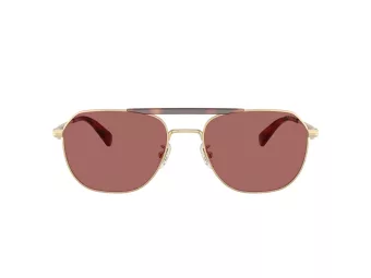 Coach Cae80 Sonnenbrille HC 7178 90050H