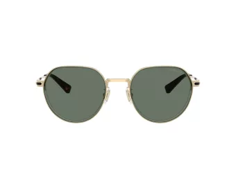 Coach Cae81 Sonnenbrille HC 7179 90053H