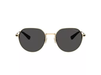 Coach Cae81 Sonnenbrille HC 7179 900587