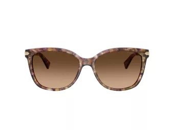 Coach L109 Sonnenbrille HC 8132 528713