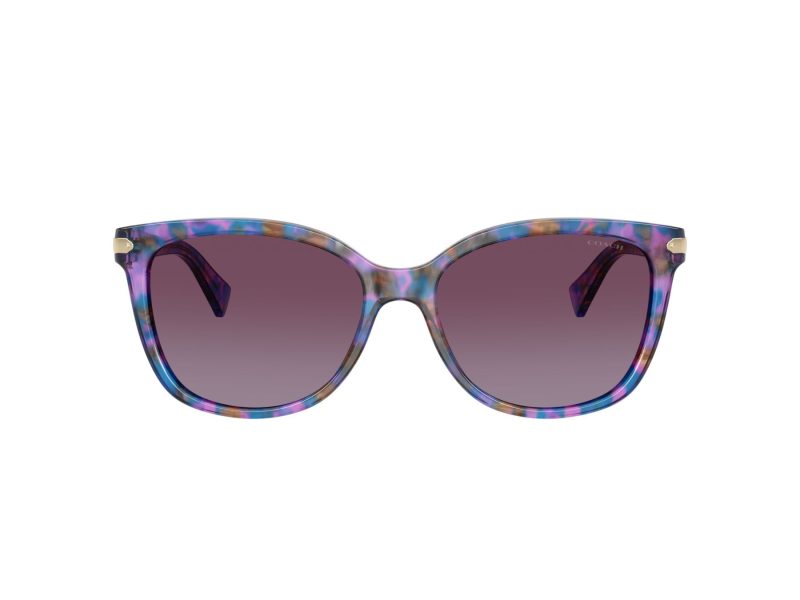 Coach L109 Sonnenbrille HC 8132 52888H