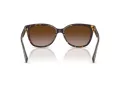 Coach L109 Sonnenbrille HC 8132 529113