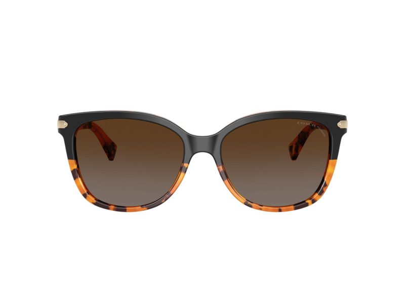 Coach L109 Sonnenbrille HC 8132 5438T5