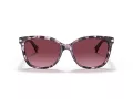 Coach L109 Sonnenbrille HC 8132 55488H
