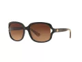 Coach L149 Sonnenbrille HC 8169 535313