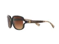 Coach L149 Sonnenbrille HC 8169 535313