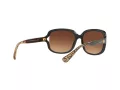 Coach L149 Sonnenbrille HC 8169 535313