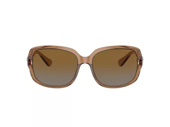 Coach L149 Sonnenbrille HC 8169 5561T5