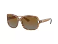 Coach L149 Sonnenbrille HC 8169 5561T5