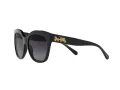 Coach L1083 Sonnenbrille HC 8264 5002T3