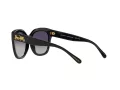 Coach L1083 Sonnenbrille HC 8264 5002T3
