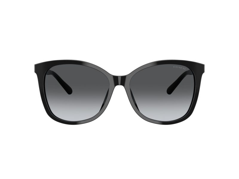 Coach L1101 Sonnenbrille HC 8271U 5002T3