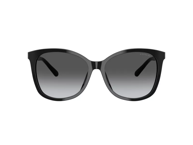Coach L1101 Sonnenbrille HC 8271U 5002T3