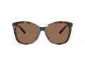Coach L1101 Sonnenbrille HC 8271U 512073