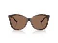 Coach L1101 Sonnenbrille HC 8271U 512073