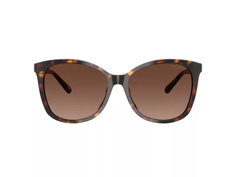 Coach L1101 Sonnenbrille HC 8271U 5120T5