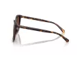Coach L1101 Sonnenbrille HC 8271U 5120T5