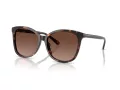 Coach L1101 Sonnenbrille HC 8271U 5120T5