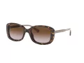 Coach L1114 Sonnenbrille HC 8278 512013