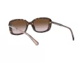 Coach L1114 Sonnenbrille HC 8278 512013