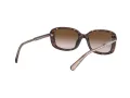 Coach L1114 Sonnenbrille HC 8278 512013