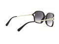 Coach L1116 Sonnenbrille HC 8280U 50028G
