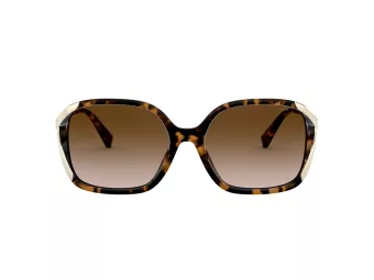 Coach L1116 Sonnenbrille HC 8280U 512013