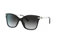 Coach C3446 Sonnenbrille HC 8316 50028G