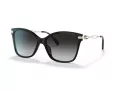 Coach C3446 Sonnenbrille HC 8316 50028G