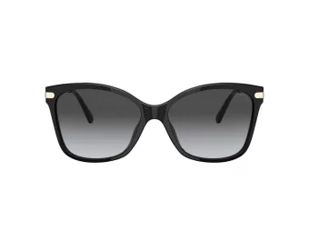 Coach C3446 Sonnenbrille HC 8316 5002T3