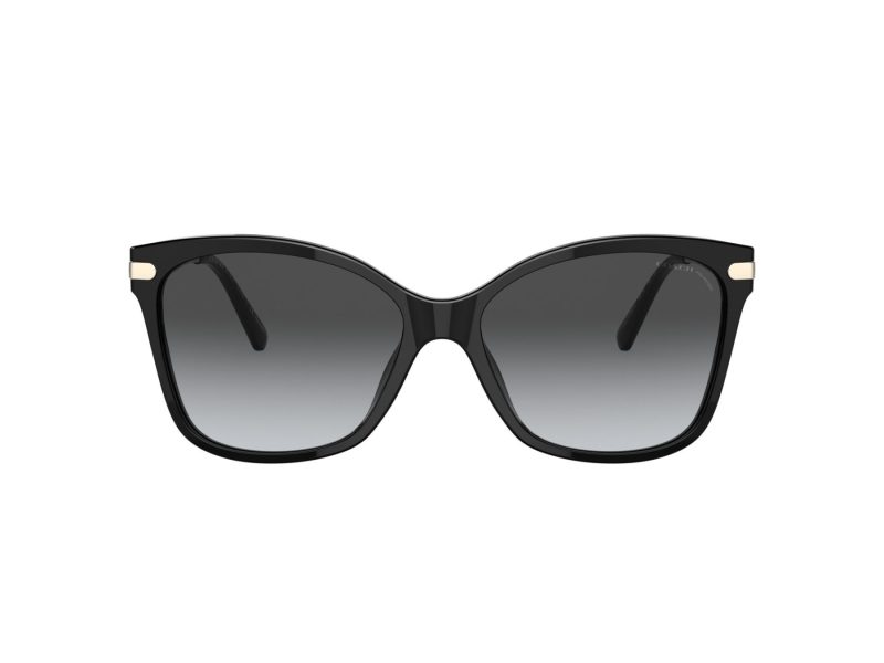 Coach C3446 Sonnenbrille HC 8316 5002T3