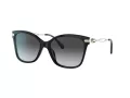 Coach C3446 Sonnenbrille HC 8316 5002T3