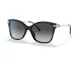 Coach C3446 Sonnenbrille HC 8316 5002T3
