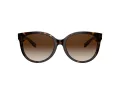 Coach C6181 Sonnenbrille HC 8321 51203B