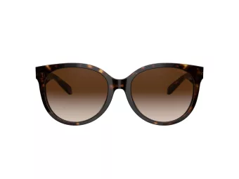 Coach C6181 Sonnenbrille HC 8321 51203B