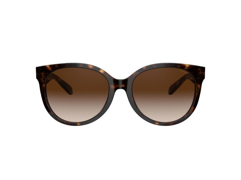 Coach C6181 Sonnenbrille HC 8321 51203B