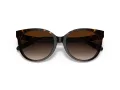 Coach C6181 Sonnenbrille HC 8321 51203B