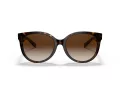 Coach C6181 Sonnenbrille HC 8321 51203B