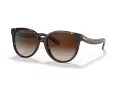 Coach C6181 Sonnenbrille HC 8321 51203B