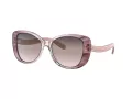 Coach C6183 Sonnenbrille HC 8322 5656U8