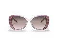Coach C6183 Sonnenbrille HC 8322 5656U8