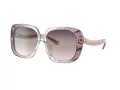 Coach C6185 Sonnenbrille HC 8323U 5656U8