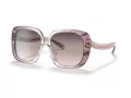 Coach C6185 Sonnenbrille HC 8323U 5656U8