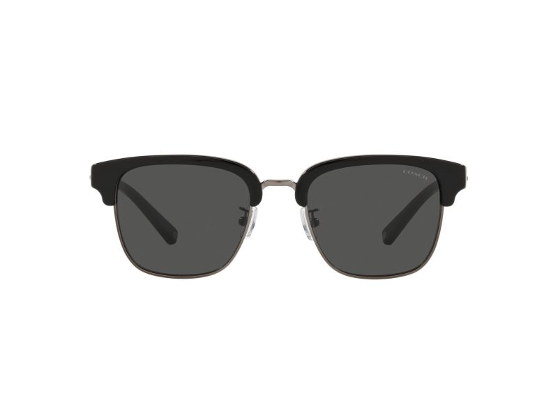 Coach C6194 Sonnenbrille HC 8326 500287