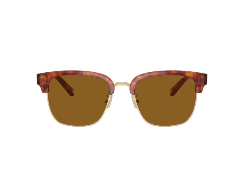 Coach C6194 Sonnenbrille HC 8326 577483