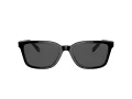 Coach C6196 Sonnenbrille HC 8328U 500287